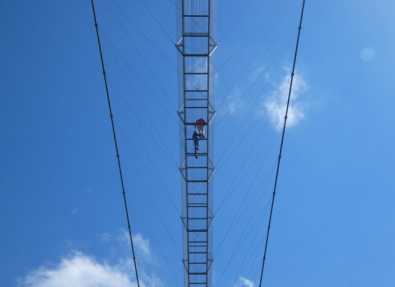 Picture 5 for Activity From Porto: 516 Arouca Bridge and Paiva Walkways Guided Tour