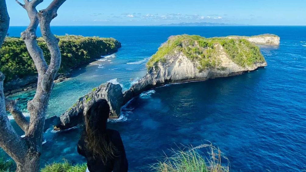 Picture 3 for Activity From Lembongan: All Inclusive Nusa Penida Day Tours