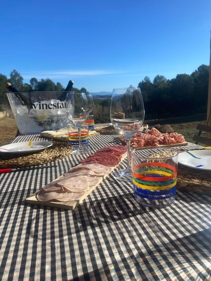 Picture 4 for Activity Exclusive Penedes wine tour & brunch in the vineyard