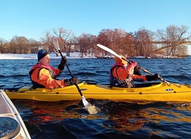 Stockholm : Kayak d'hiver excursion dans le centre-ville