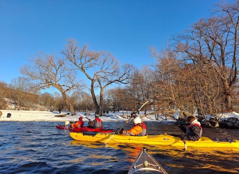 Picture 3 for Activity Stockholm: Winter Kayaking Tour through the City Centre