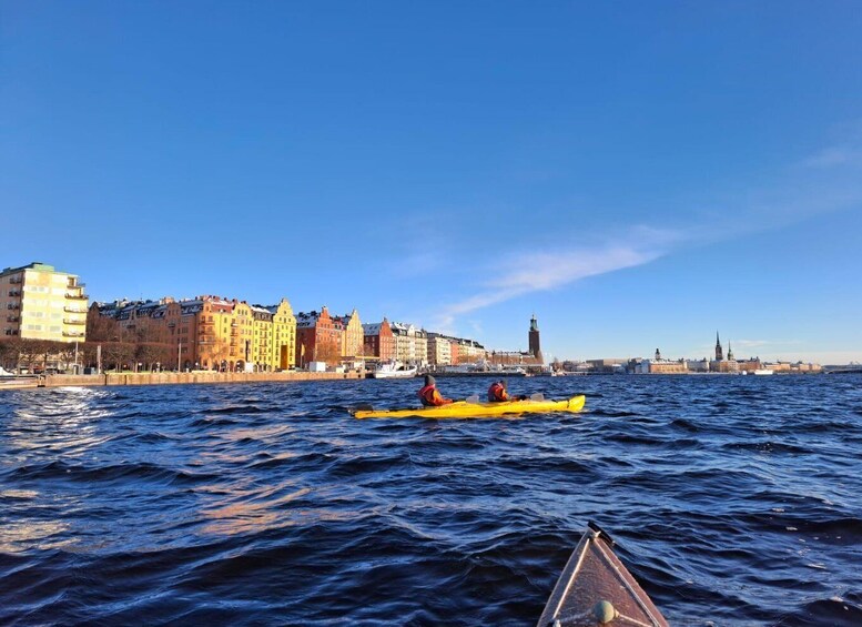 Picture 4 for Activity Stockholm: Winter Kayaking Tour through the City Centre