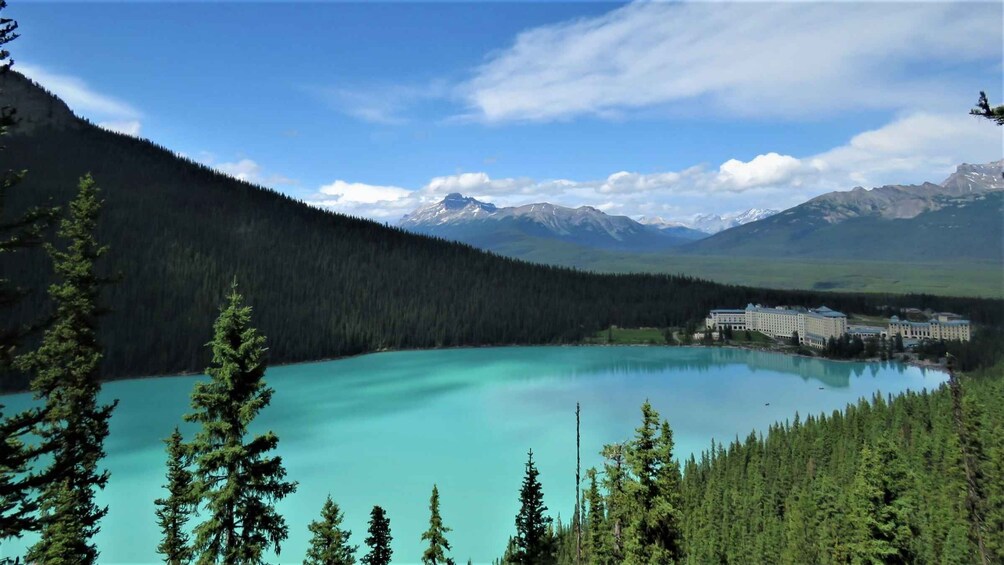 Picture 17 for Activity From Calgary: Banff National Park Premium Day Trip