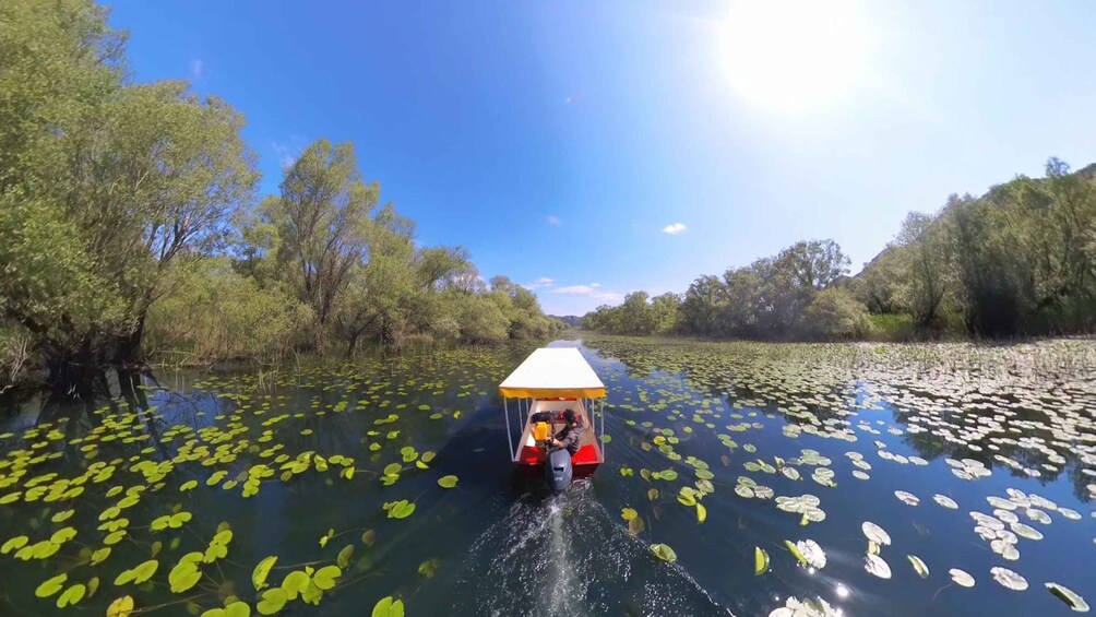 Picture 6 for Activity Virpazar: Amazon cruise and panoramic tour of Karuč