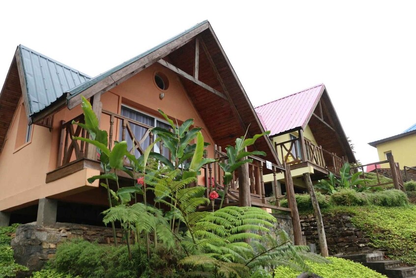 Picture 5 for Activity From Antananarivo: 4 days getaway to wild Ranomafana