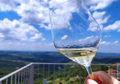 Panoramic Sightseeing Tour with Aperitivo