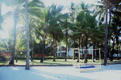 Vacaciones en la playa y safari en Kenia: safari de 9 días