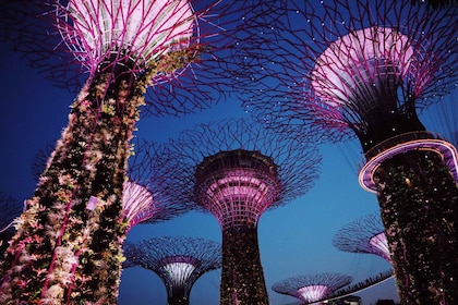 Singapore: Privat tur med lokal guide