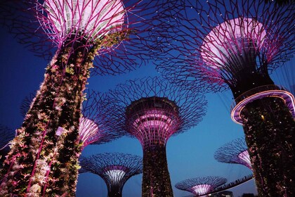 Singapour : Privé excursion avec un guide local