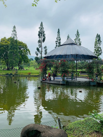 Picture 2 for Activity Bogor: Private Car Charter with Professional Driver