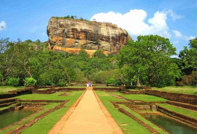 Picture 1 for Activity From Colombo: Sigiriya and Dambulla Day Trip with Safari