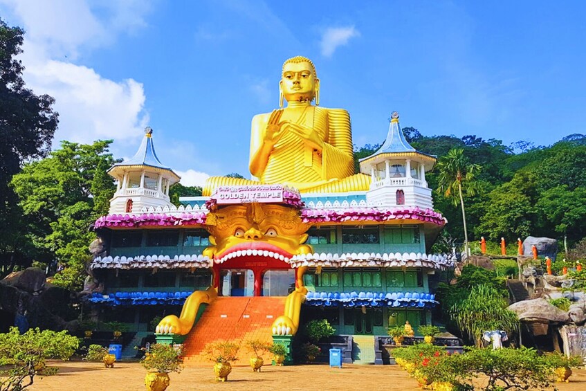 Picture 3 for Activity From Colombo: Sigiriya and Dambulla Day Trip with Safari