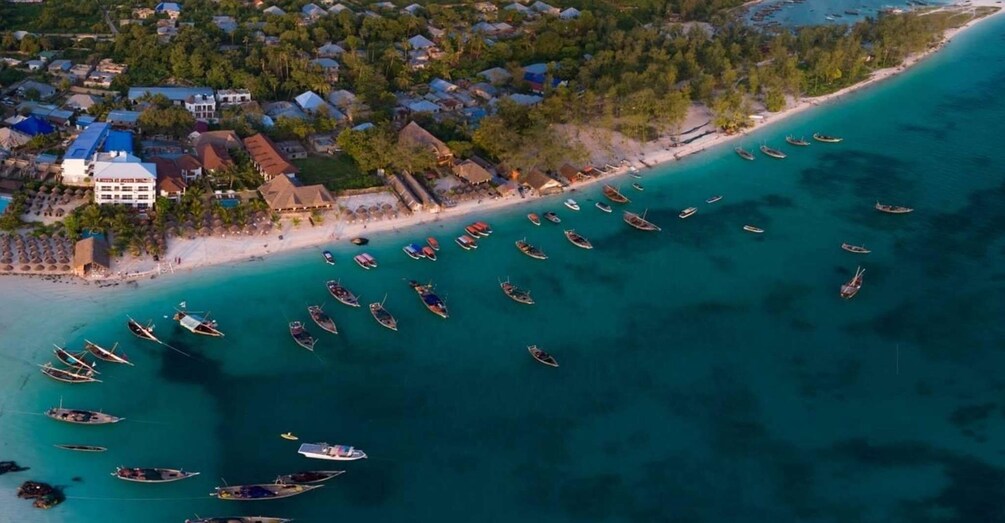 Picture 5 for Activity Epic of Prison Island and Romantic Nakupenda Sandbank Tour