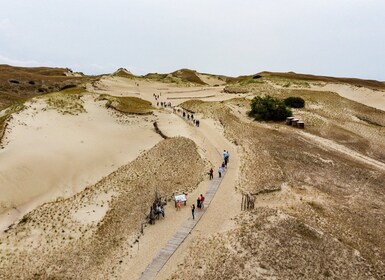 Day Group Tour: Curonian spit (Neringa) from Klaipeda DFDS