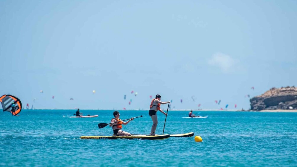 Fuerteventura: Explore Costa Calma Bay on a SUP Board!