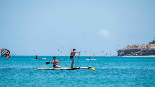 Fuerteventura: Explore Costa Calma Bay on a SUP Board!