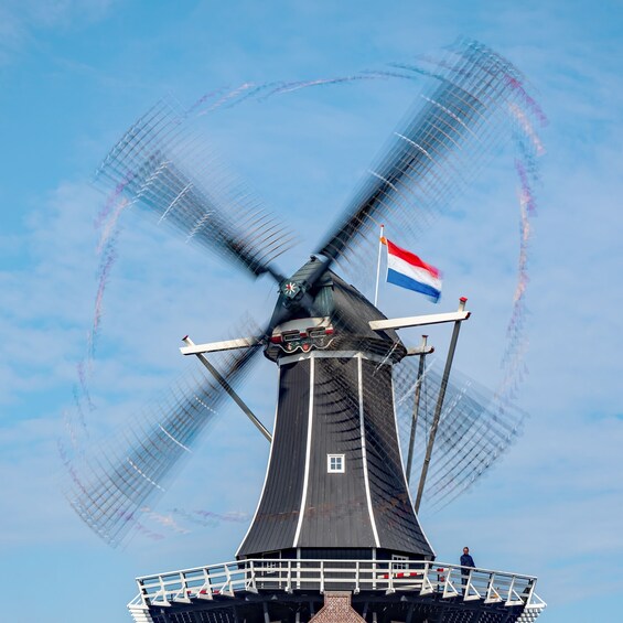 Picture 11 for Activity Haarlem: Tour inside Windmill De Adriaan + view of the city