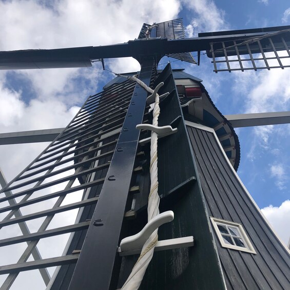 Picture 10 for Activity Haarlem: Tour inside Windmill De Adriaan + view of the city