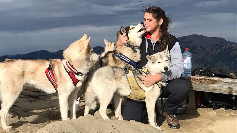 Unterallgäu: Wiedergeltingen Guided Hike with Huskies