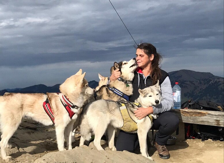 Unterallgäu: Wiedergeltingen Guided Hike with Huskies