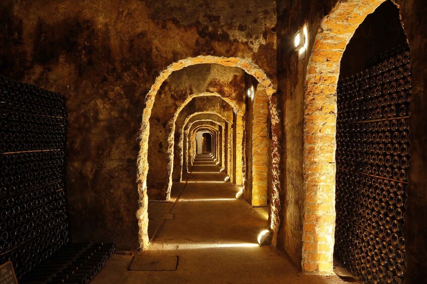 Picture 4 for Activity Messias: Cellar Tour + Sparkling Wine Tasting & Cheese Board