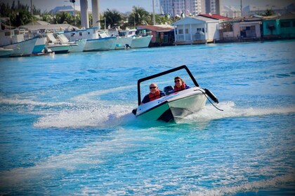 Nassau: Self-Drive Speedboat Ride and Pig Swimming Encounter