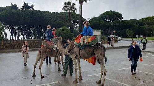 Fra Tarifa: Dagstur til Tanger med basar-shopping og frokost