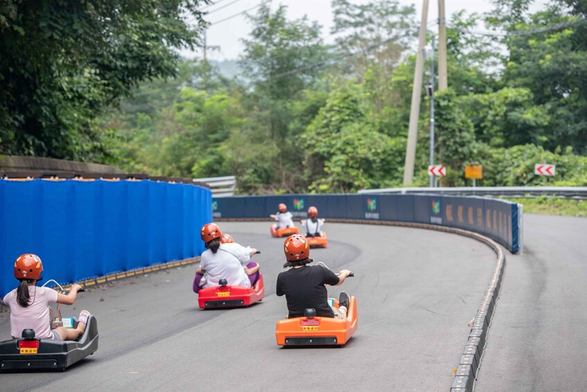 Picture 1 for Activity Seoul: Alpaca World, Luge Ride and Suspension Bridge