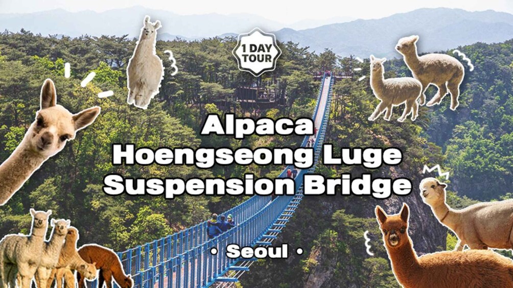 Seoul: Alpaca World, Luge Ride and Suspension Bridge