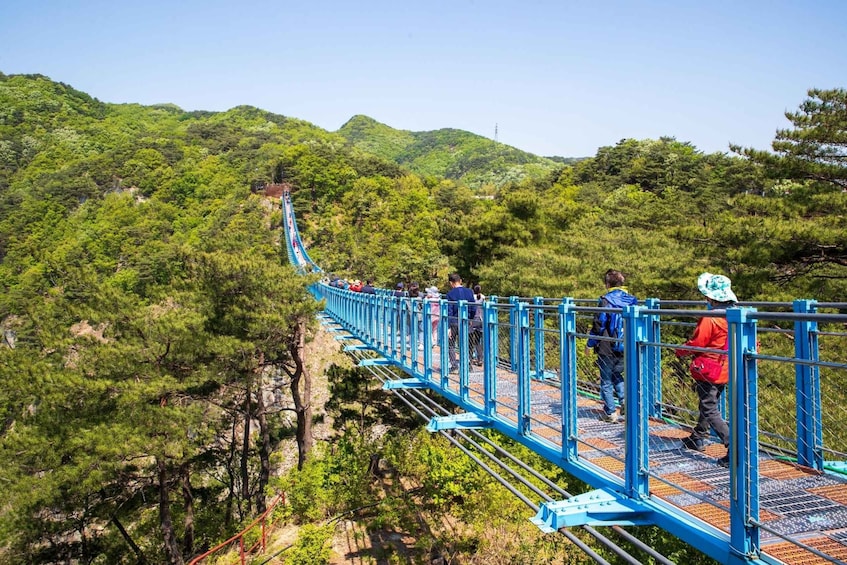 Picture 10 for Activity Seoul: Alpaca World, Luge Ride and Suspension Bridge