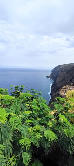 Picture 10 for Activity Madeira "Mystery Tour" Full-Day - Private 4x4 Jeep