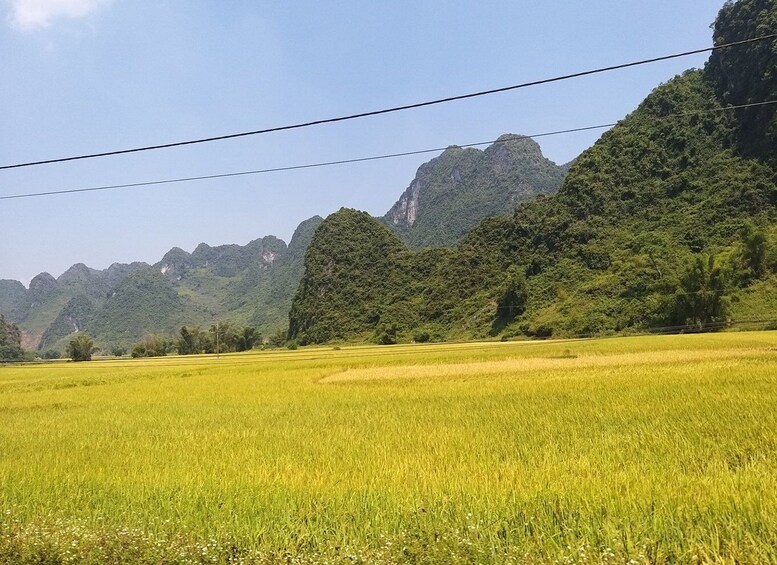 Picture 1 for Activity From Hanoi: 2-Day Ban Gioc Waterfall Tour