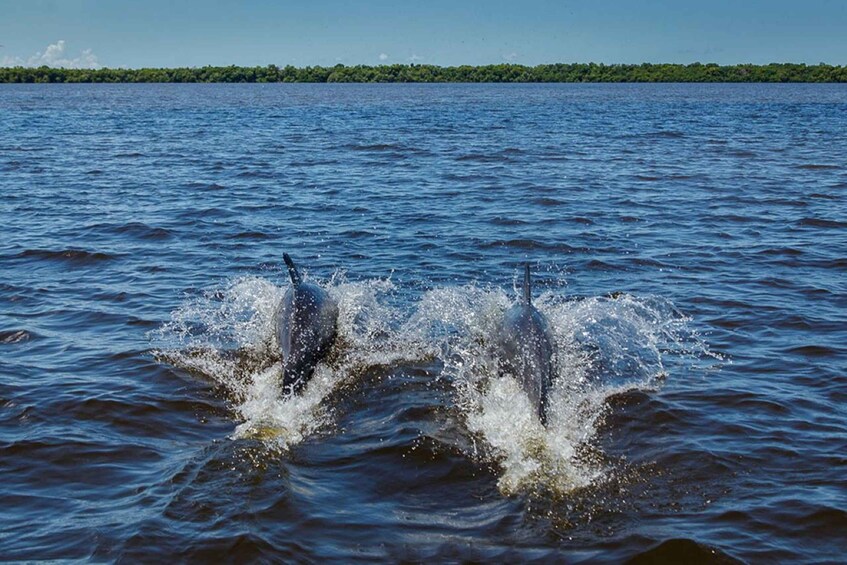 Picture 5 for Activity From Campeche: Mamantel River Tour