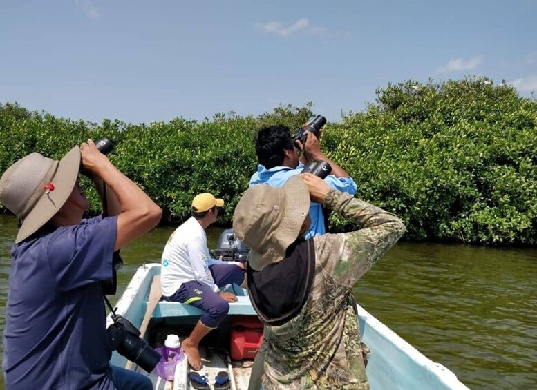 Picture 6 for Activity From Campeche: Mamantel River Tour