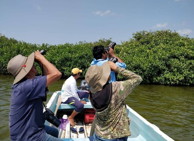 Picture 5 for Activity From Campeche: Mamantel River Tour