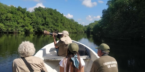 From Campeche: Mamantel River Tour