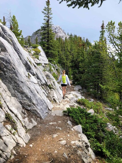 Picture 8 for Activity Banff: Sulphur Mountain Highline Guided Hike