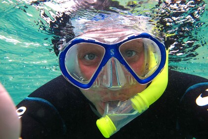 Costa Teguise: Snorkelling Tour with Instructor & Equipment