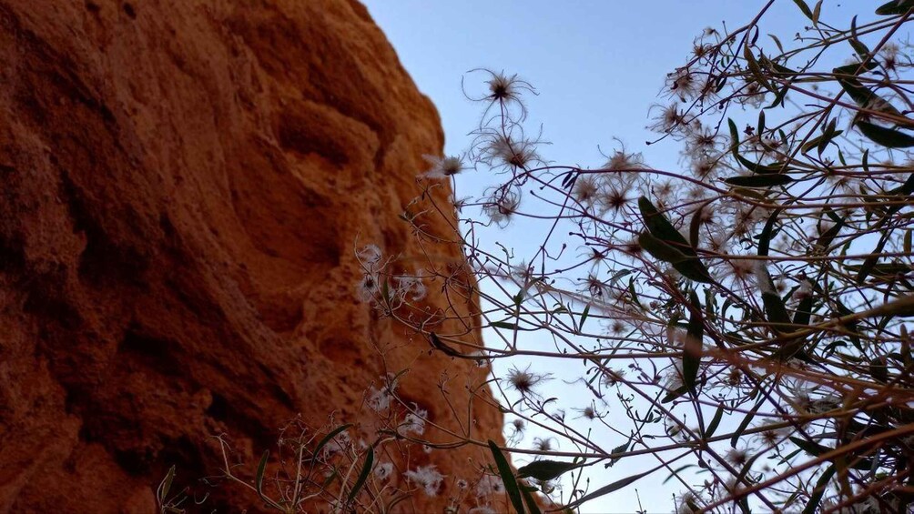 Picture 9 for Activity From Bishkek: Hike in the Kok-Moinok Eki Canyons