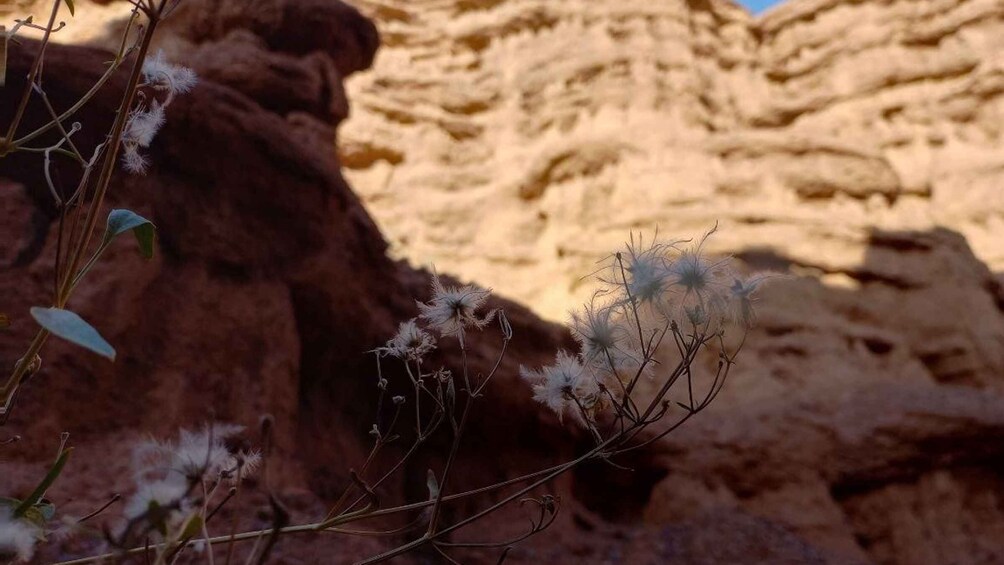 Picture 8 for Activity From Bishkek: Hike in the Kok-Moinok Eki Canyons