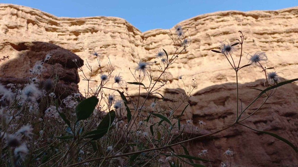 Picture 6 for Activity From Bishkek: Hike in the Kok-Moinok Eki Canyons