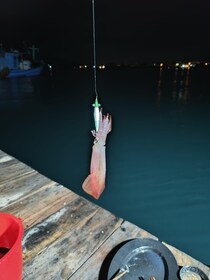 Phu Quoc: tour de pesca de calamares con vistas al atardecer y cena