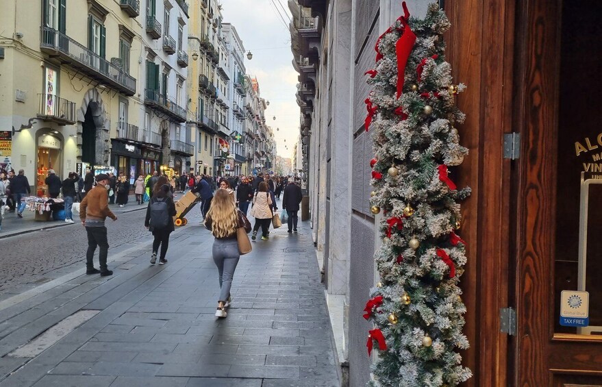 Picture 9 for Activity Naples: City Monuments Guided Walking Tour