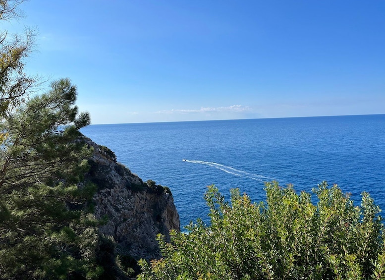 Picture 7 for Activity Corfu: Palaiokastritsa, Mouse Island, and Old Town Tour