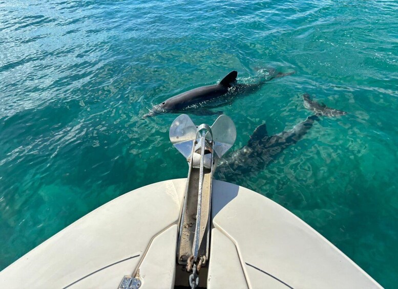 Picture 13 for Activity Miami: Private Boat Cruise and Tour with Captain