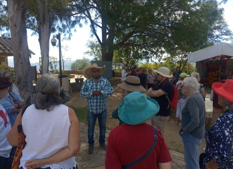 Picture 6 for Activity Monte Alban Walking Tour