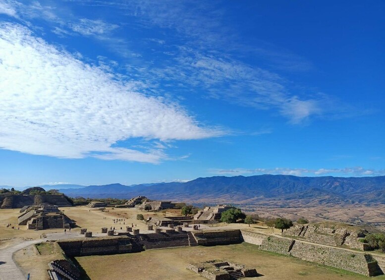 Picture 3 for Activity Monte Alban Walking Tour