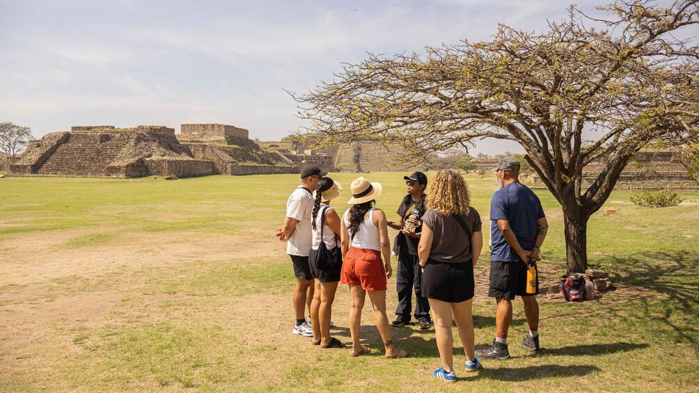 Picture 13 for Activity Monte Alban Walking Tour