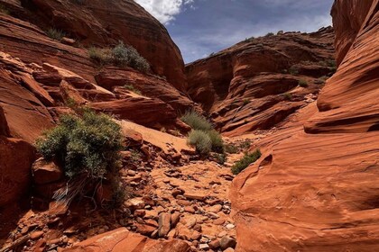 Antelope Canyon: Mountain Sheep Canyon Tour