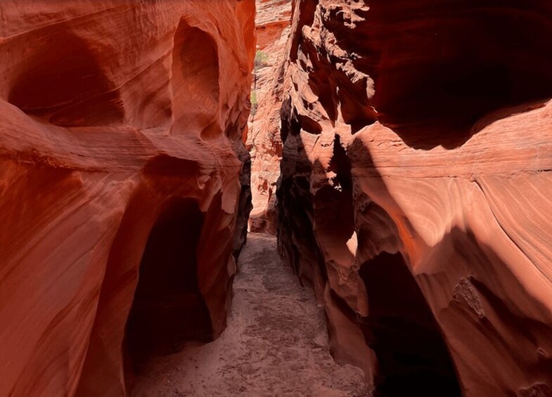 Picture 2 for Activity Antelope Canyon: Mountain Sheep Canyon Tour